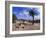 Church Courtyard, Arta, Mallorca, Spain-Hans Peter Merten-Framed Photographic Print