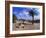 Church Courtyard, Arta, Mallorca, Spain-Hans Peter Merten-Framed Photographic Print