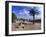 Church Courtyard, Arta, Mallorca, Spain-Hans Peter Merten-Framed Photographic Print