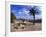 Church Courtyard, Arta, Mallorca, Spain-Hans Peter Merten-Framed Photographic Print