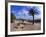 Church Courtyard, Arta, Mallorca, Spain-Hans Peter Merten-Framed Photographic Print