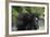 Church Farm UK 002-Bob Langrish-Framed Photographic Print