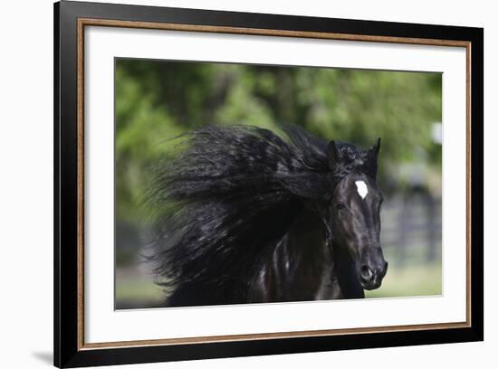 Church Farm UK 002-Bob Langrish-Framed Photographic Print