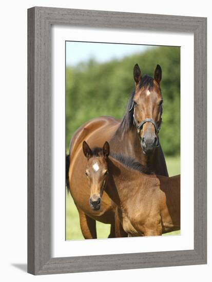 Church Farm UK 004-Bob Langrish-Framed Photographic Print