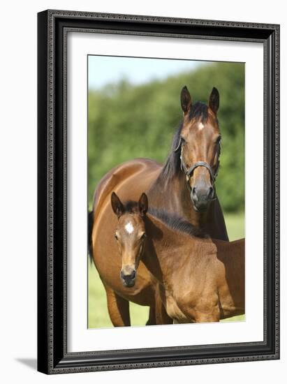 Church Farm UK 004-Bob Langrish-Framed Photographic Print