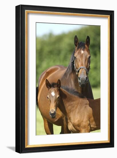 Church Farm UK 004-Bob Langrish-Framed Photographic Print