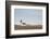 Church Hellnakirkja, Hellnar, Snaefellsnes, West Iceland-Julia Wellner-Framed Photographic Print