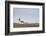 Church Hellnakirkja, Hellnar, Snaefellsnes, West Iceland-Julia Wellner-Framed Photographic Print