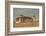 Church in Barranquilla, Colombia-Frederic Edwin Church-Framed Premium Giclee Print