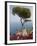 Church in Ravello-Peter Adams-Framed Photographic Print