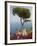 Church in Ravello-Peter Adams-Framed Photographic Print