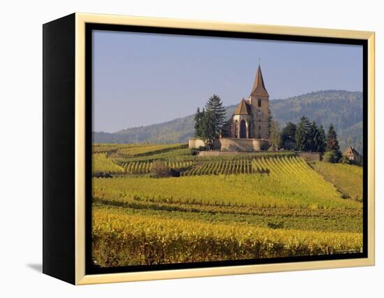 Church in Vineyards, Hunawihr, Alsace, France, Europe-John Miller-Framed Premier Image Canvas
