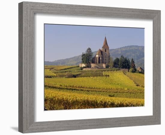 Church in Vineyards, Hunawihr, Alsace, France, Europe-John Miller-Framed Photographic Print