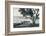 'Church Island, Lough Gill, Sligo', c1908-Robert John Welch-Framed Photographic Print