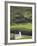 Church, Norway-Russell Young-Framed Photographic Print