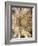 Church of Saint Sepulchre (13th Century), Torres Del Rio, Navarra, Spain-Ivan Vdovin-Framed Photographic Print