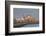 Church of Santa Cruz and Cathedral, Cadiz, Cadiz Province, Andalucia, Spain, Europe-Neil Farrin-Framed Photographic Print