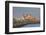 Church of Santa Cruz and Cathedral, Cadiz, Cadiz Province, Andalucia, Spain, Europe-Neil Farrin-Framed Photographic Print