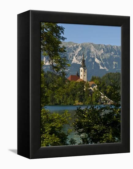 Church of the Assumption on Bled Island in Bled Lake, Bled, Slovenia, Europe-Michael Runkel-Framed Premier Image Canvas