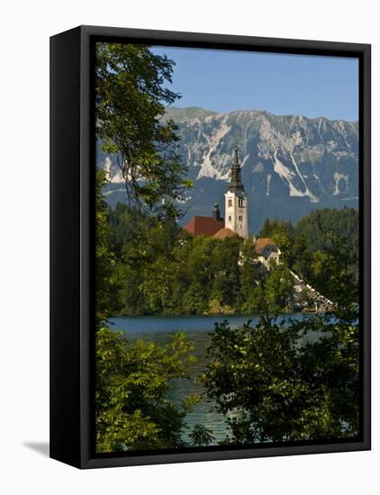 Church of the Assumption on Bled Island in Bled Lake, Bled, Slovenia, Europe-Michael Runkel-Framed Premier Image Canvas