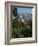 Church of the Assumption on Bled Island in Bled Lake, Bled, Slovenia, Europe-Michael Runkel-Framed Photographic Print