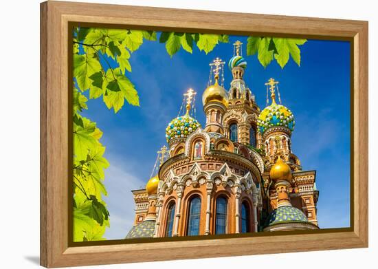 Church of the Savior on Spilled Blood in St. Petersburg, Russia-sborisov-Framed Premier Image Canvas