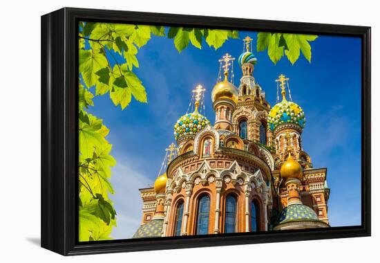 Church of the Savior on Spilled Blood in St. Petersburg, Russia-sborisov-Framed Premier Image Canvas