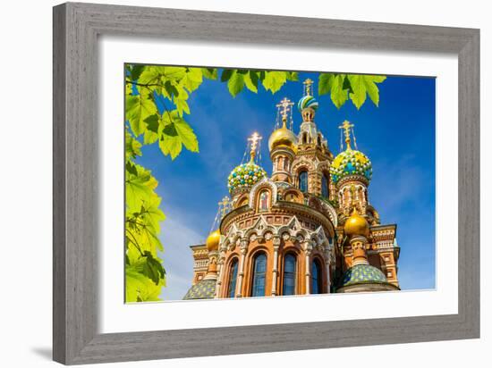 Church of the Savior on Spilled Blood in St. Petersburg, Russia-sborisov-Framed Photographic Print