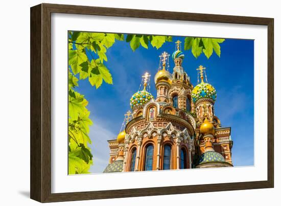 Church of the Savior on Spilled Blood in St. Petersburg, Russia-sborisov-Framed Photographic Print