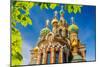 Church of the Savior on Spilled Blood in St. Petersburg, Russia-sborisov-Mounted Photographic Print