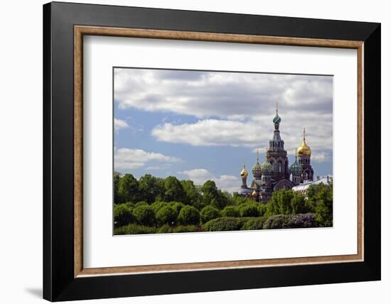 Church of the Spilled Blood and Trees, St. Petersburg, Russia-Kymri Wilt-Framed Photographic Print