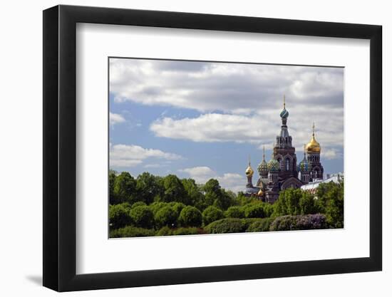 Church of the Spilled Blood and Trees, St. Petersburg, Russia-Kymri Wilt-Framed Photographic Print