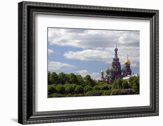 Church of the Spilled Blood and Trees, St. Petersburg, Russia-Kymri Wilt-Framed Photographic Print