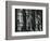 Church, Reflections, New York, 1980-Brett Weston-Framed Photographic Print