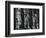 Church, Reflections, New York, 1980-Brett Weston-Framed Photographic Print