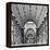 Church-null-Framed Premier Image Canvas