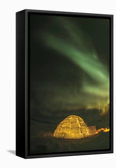 Churchill, Manitoba, Canada. Northern Lights shine above lit igloo.-Yvette Cardozo-Framed Premier Image Canvas