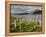 Churchyard, Achill Island, Off the Coast of County Mayo, Republic of Ireland, Europe-David Wogan-Framed Premier Image Canvas