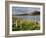 Churchyard, Achill Island, Off the Coast of County Mayo, Republic of Ireland, Europe-David Wogan-Framed Photographic Print