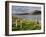 Churchyard, Achill Island, Off the Coast of County Mayo, Republic of Ireland, Europe-David Wogan-Framed Photographic Print