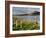 Churchyard, Achill Island, Off the Coast of County Mayo, Republic of Ireland, Europe-David Wogan-Framed Photographic Print