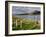 Churchyard, Achill Island, Off the Coast of County Mayo, Republic of Ireland, Europe-David Wogan-Framed Photographic Print