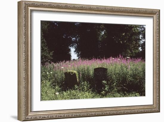 Churchyard, St Michael and All Angels, Great Tew, Oxfordshire, England-Simon Marsden-Framed Giclee Print