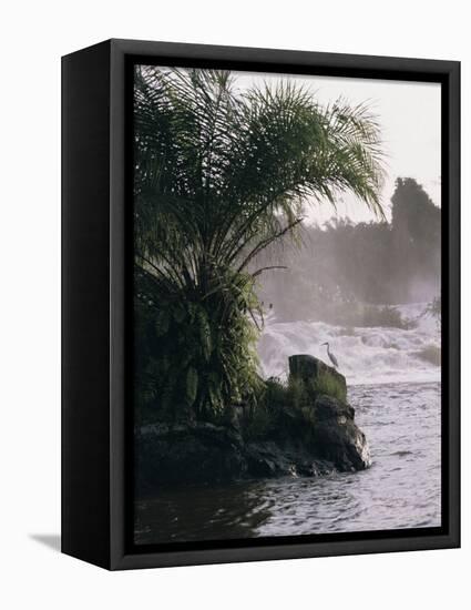 Chutes De La Lobe, Kribi, West Coast, Cameroon, Africa-David Poole-Framed Premier Image Canvas