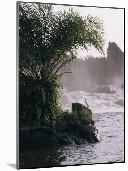 Chutes De La Lobe, Kribi, West Coast, Cameroon, Africa-David Poole-Mounted Photographic Print