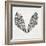 Cicada Wings in Black Ink-Cat Coquillette-Framed Giclee Print