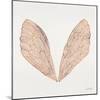 Cicada Wings in Rose Gold Ink-Cat Coquillette-Mounted Giclee Print