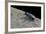Cicindela Hybrida (Northern Dune Tiger Beetle)-Paul Starosta-Framed Photographic Print