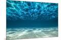 Premium Photographic Print