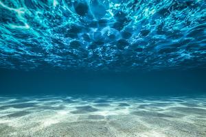 Ocean Bottom, View Beneath Surface by Cico